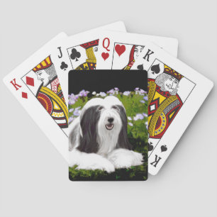 Baraja De Cartas Pintura de color con barba - Arte de perro origina