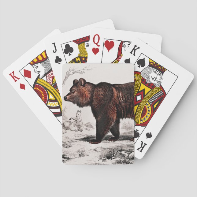 Baraja De Cartas Pintura de oso marrón ilustrada (Reverso)