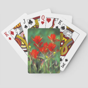 Baraja De Cartas Pintura de pincel indio - Arte de flores original