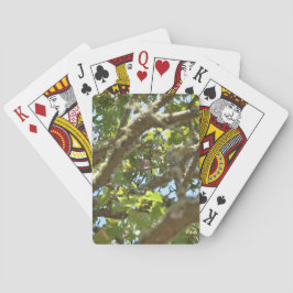 Baraja De Cartas Pinzón vulgar