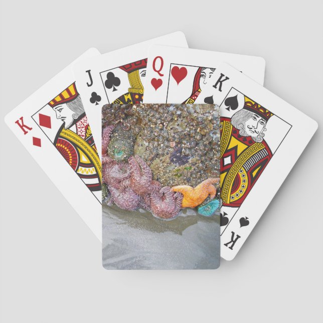 Baraja De Cartas Piscina de marea, playa de Ruby, Parque Nacional O (Reverso)