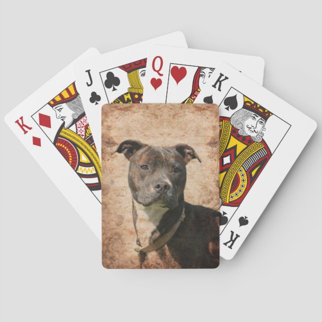 Baraja De Cartas Pit Bull Terrier (Reverso)