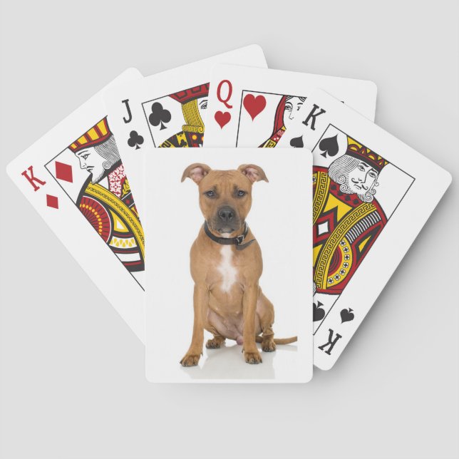 Baraja De Cartas Pitbull (Reverso)
