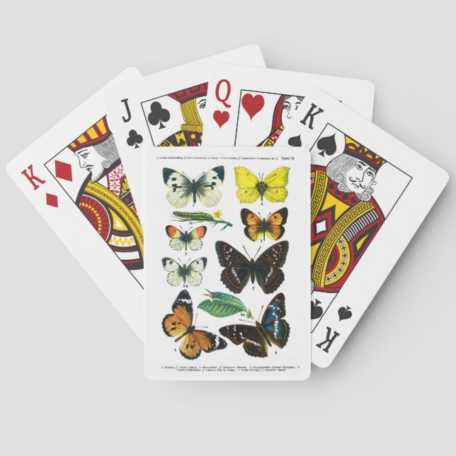 Baraja De Cartas Placa II de mariposas europeas (Reverso)