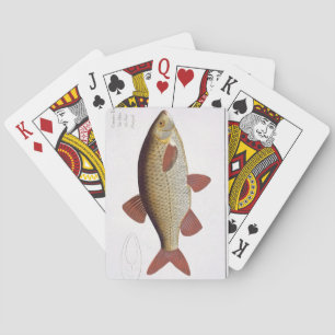 Baraja De Cartas Placa roja I de la carpa (Cyprinus