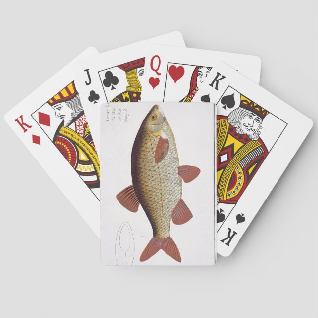 Baraja De Cartas Placa roja I de la carpa (Cyprinus (Reverso)
