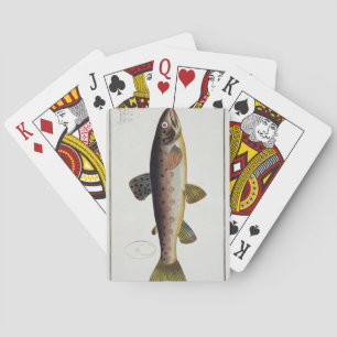 Baraja De Cartas Placa XXIII de la trucha de Brown (Salmo