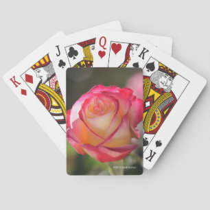 Baraja De Cartas Placer doble subió