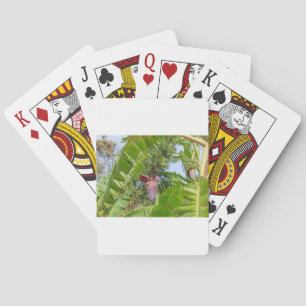 Baraja De Cartas Plantación bananera en la isla Sok Kwu Wan Lamma