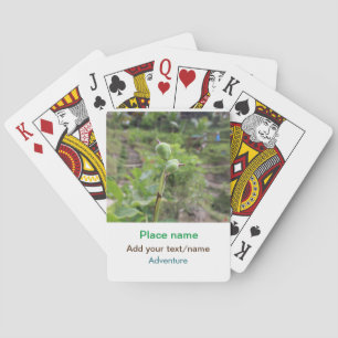 Baraja De Cartas Plantas naturales fotografía nombre de viaje en ag