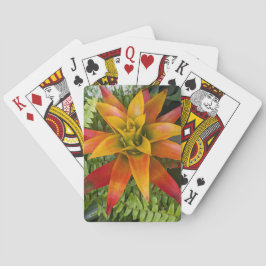 Baraja De Cartas Plantas tropicales de Guzmania Floral