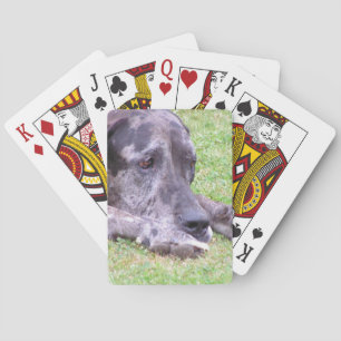 Baraja De Cartas Plantilla de tarjeta de bicicleta - Personalizada