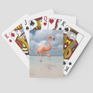 Baraja De Cartas Playa Aruba de los flamencos