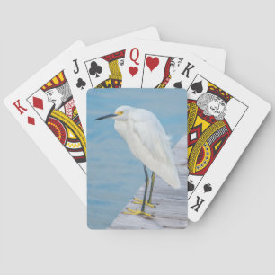 Baraja De Cartas Playa New Smyrna, Garceta Nivosa en el muelle