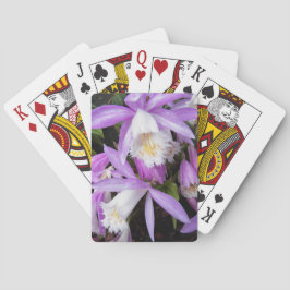 Baraja De Cartas Pleione Windowsill Orchids Floral