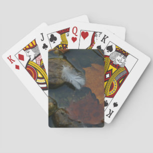 Baraja De Cartas Pluma blanca