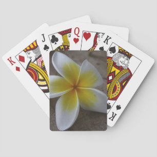 Baraja De Cartas Plumeria - Frangipani Fotografía Floral