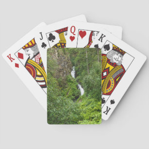 Baraja De Cartas Plush Thunderbird Painterly