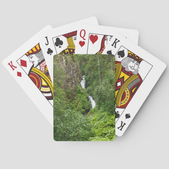 Baraja De Cartas Plush Thunderbird Painterly (Reverso)