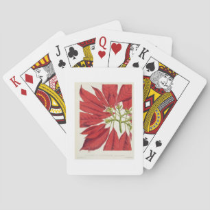 Baraja De Cartas Poinsettia Pulcherrima (litho del color)