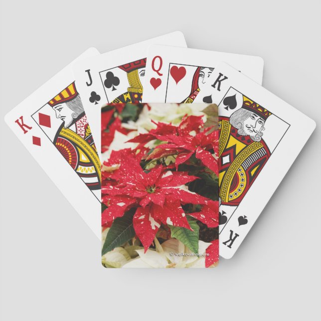 Baraja De Cartas Poinsettias florales blancas rojas festivas (Reverso)