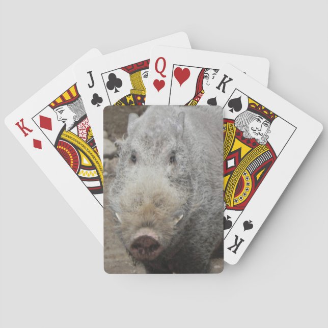 Baraja De Cartas Poker Face Playing Cards (Reverso)