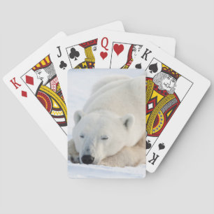 Baraja De Cartas Polar Bear in winter