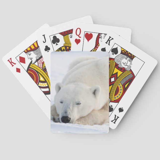Baraja De Cartas Polar Bear in winter (Reverso)