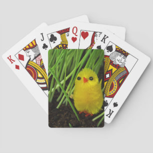 Baraja De Cartas pollito de pasto