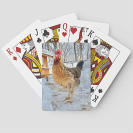 Baraja De Cartas Pollo dignificado