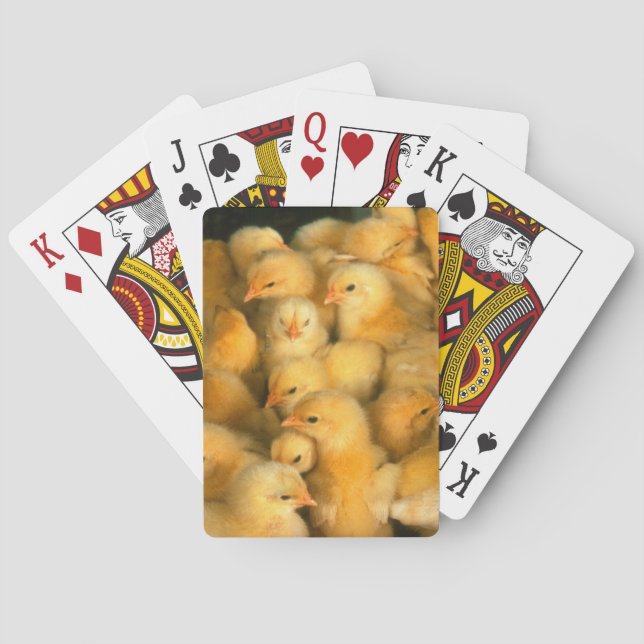 Baraja De Cartas Pollos de pollo para bebés (Reverso)
