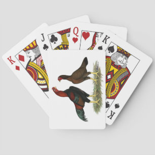 Baraja De Cartas Pollos rojos negros de Aseel