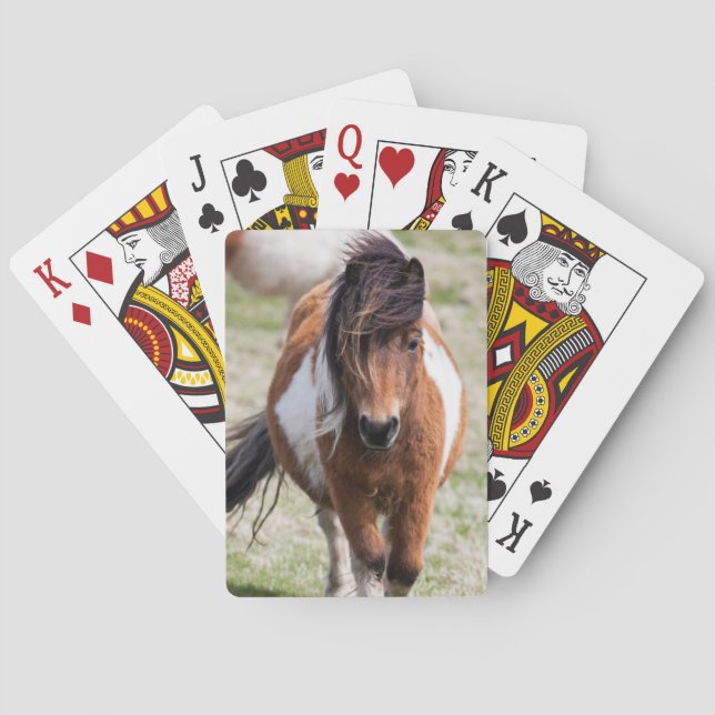 Baraja De Cartas Poni de Shetland, Islas Shetland (Reverso)