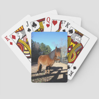 Baraja De Cartas Poni marrón cielo turquesa