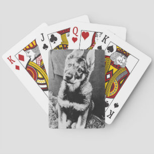 Baraja De Cartas Pooch