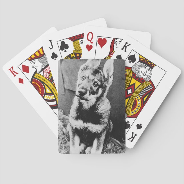 Baraja De Cartas Pooch (Reverso)