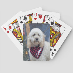 Baraja De Cartas Poodle