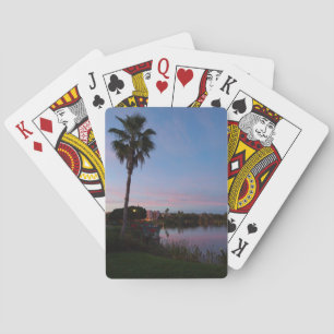 Baraja De Cartas Por La Noche Junto A La Palmera
