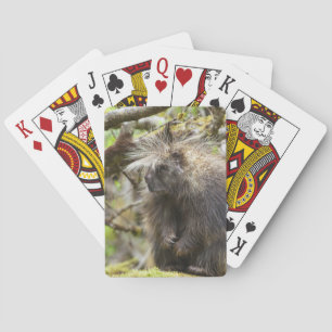 Baraja De Cartas Porcupina determinada