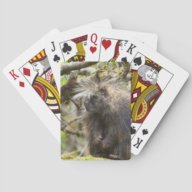 Baraja De Cartas Porcupina determinada (Reverso)