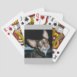 Baraja De Cartas Posando Chihuahua - No intentes recogerlo
