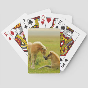 Baraja De Cartas Potros del caballo