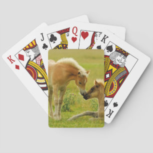 Baraja De Cartas Potros del caballo