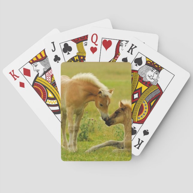 Baraja De Cartas Potros del caballo (Reverso)