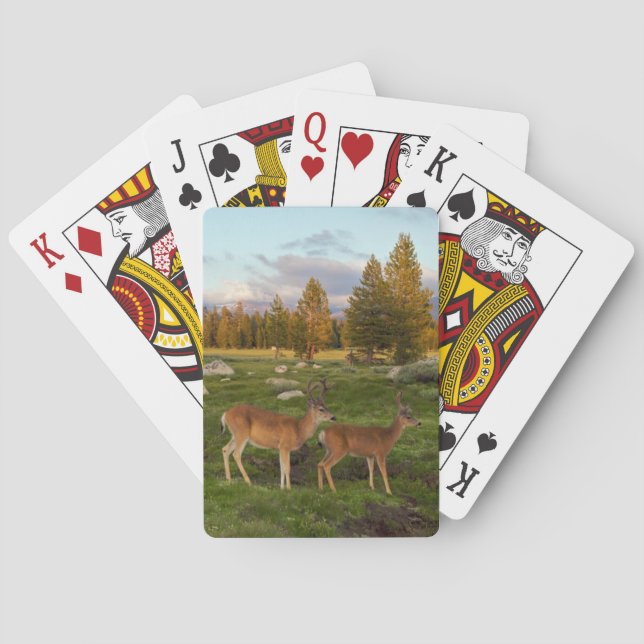 Baraja De Cartas Prado de Tuolumne, Yosemite (Reverso)