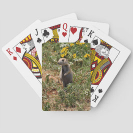 Baraja De Cartas Prairie Dog