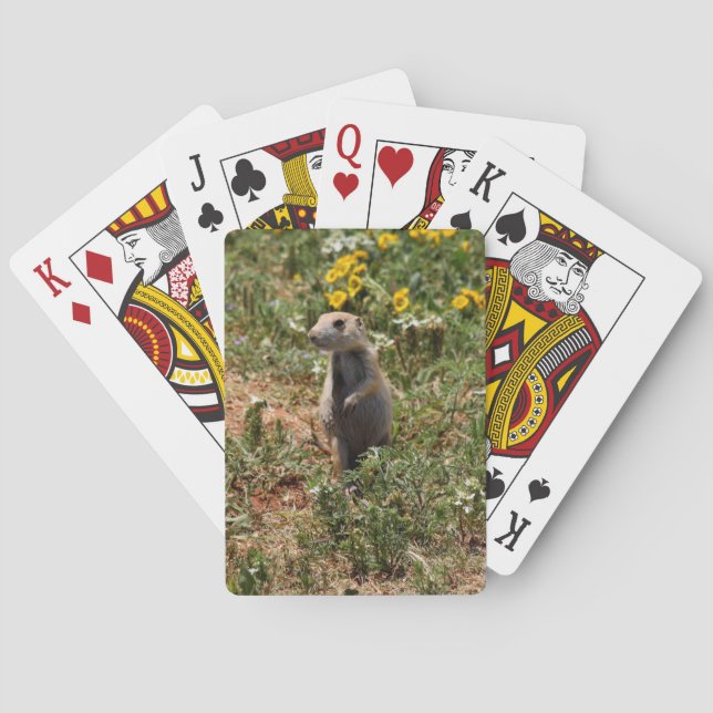 Baraja De Cartas Prairie Dog (Reverso)