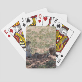 Baraja De Cartas Prairie Dog Family