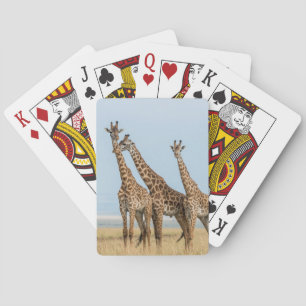 Baraja De Cartas Presentación de tres jirafas