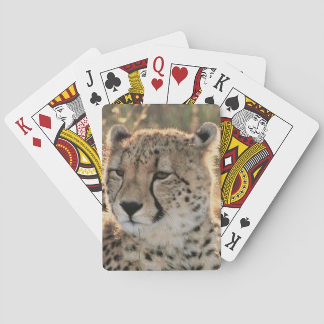Baraja De Cartas Primer de guepardos (Reverso)